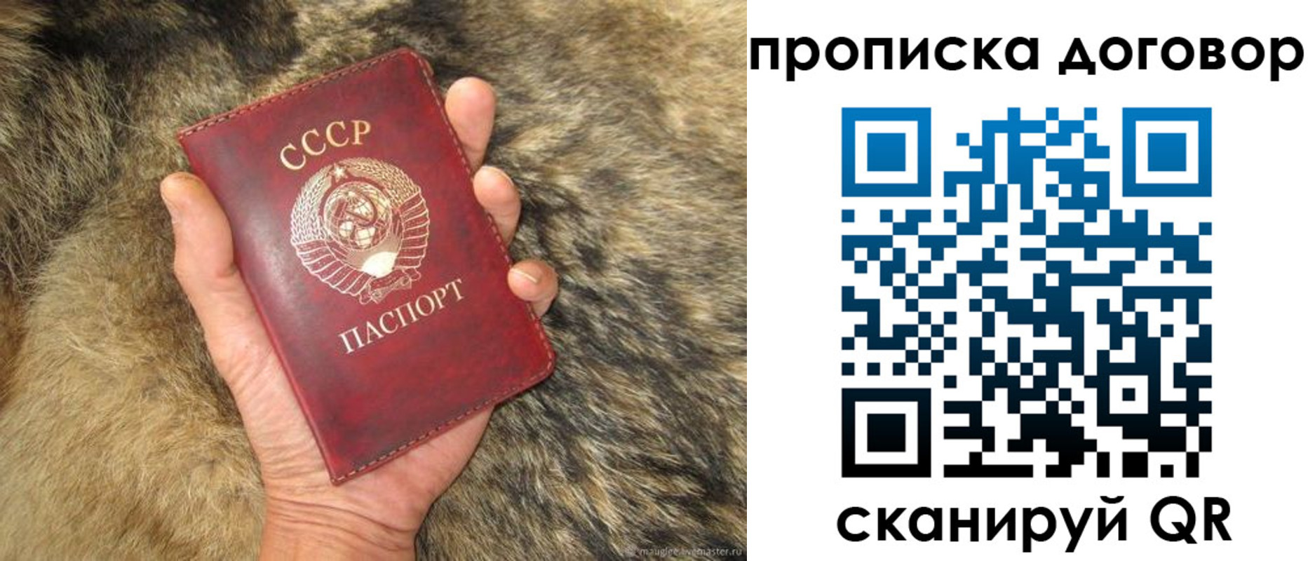 прописка регистрация в Белгородской области